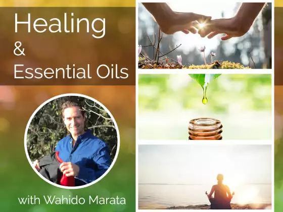 How To Use Essential Oils To Heal Physical, Emotional & Psychologic Stress - Multilingual