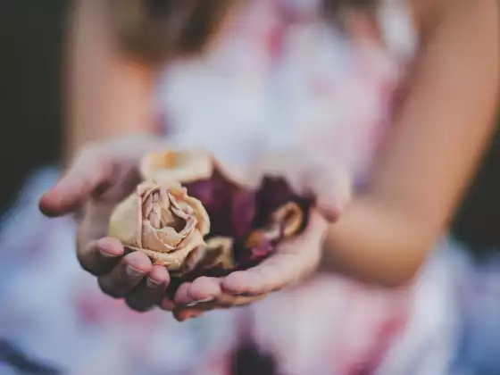 Remote Reiki Healing für 33 Minuten