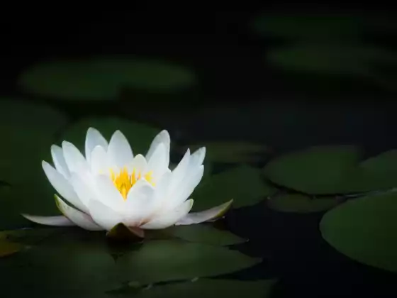 Reiki livello 2