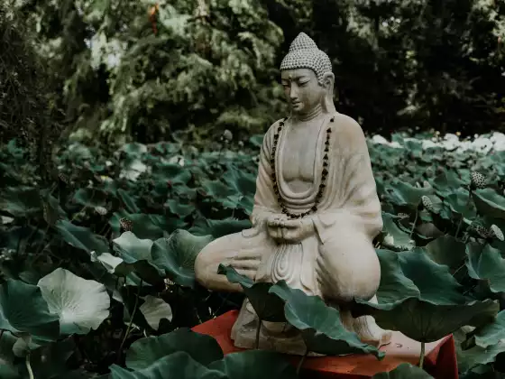 药师佛诵圈