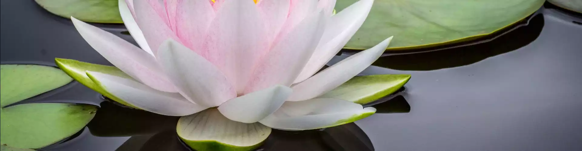 Méditation Reiki : Vous êtes entier, parfait et complet - Online Class by Jerry Mikutis