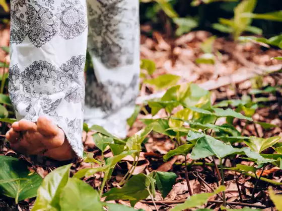NatureSoul Odyssey: Virtuális ökoterápiás séta