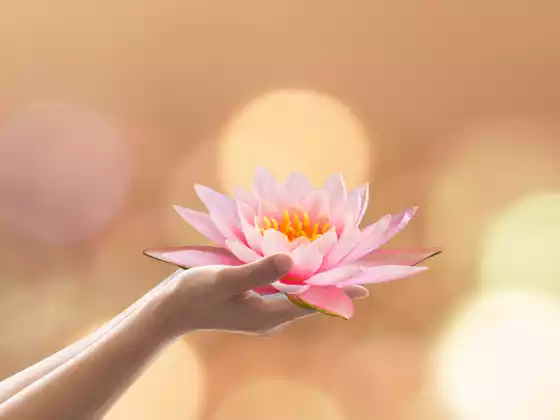 WU 专家领袖伊丽莎白·基普 (Elizabeth Kipp) 的慢性疼痛之路