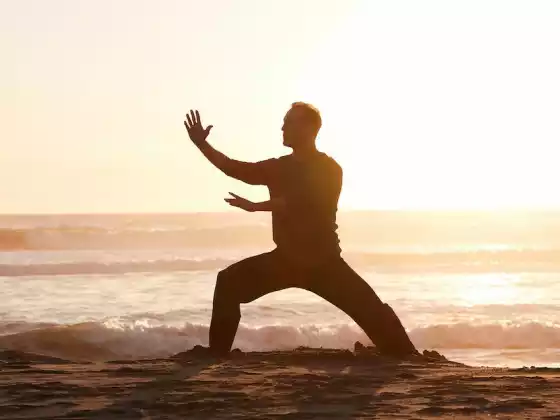 Qigong with the 8 Brocades