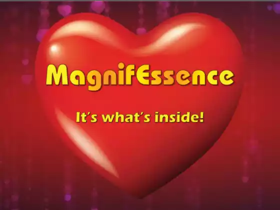 MagnifEssence: プラットフォームの概要とウォークスルー