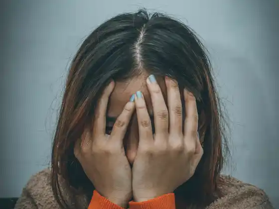 ওয়েবিনার ২