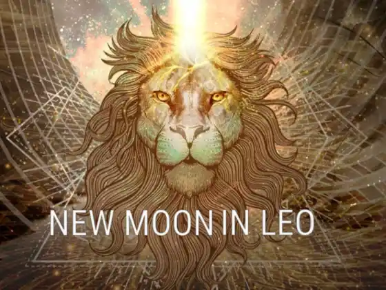 New Moon in Leo Meditation