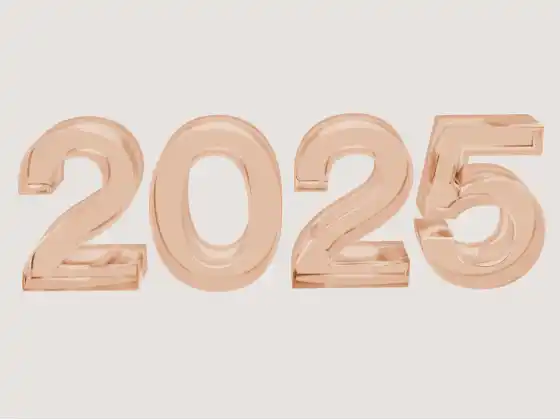 Malayong Pagpapagaling sa Masigasig na Paghahanda para sa 2025!