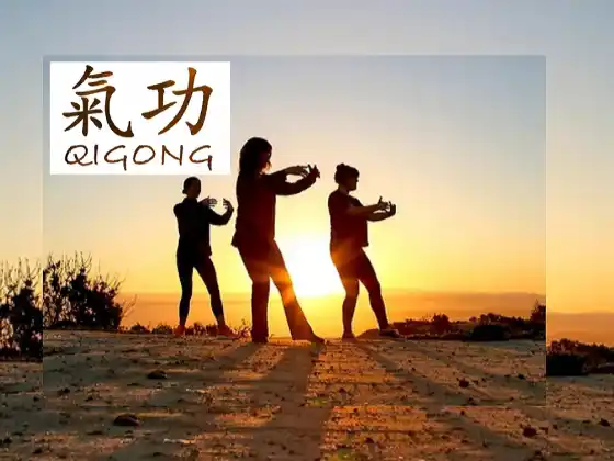 Qigong for Wellbeing with 8 Silk Brocade 