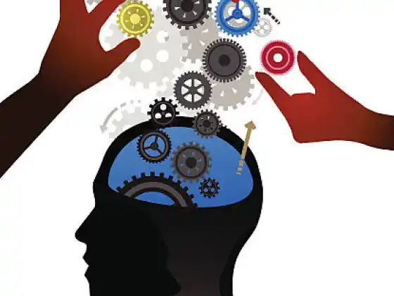 Επανεκπαιδεύστε τη σειρά Brain