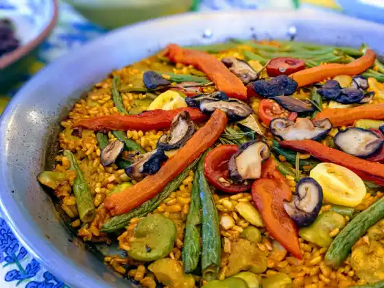 Un voyage riche en plantes en Provence - Paella et plus encore ! Nouveau contenu 2025