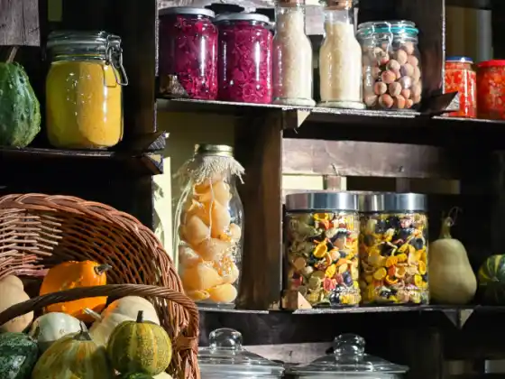« The Pantry Powerhouse : 20 ingrédients essentiels pour votre mode de vie à base de plantes