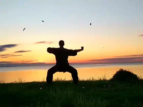 1 hour Qigong with 8 Silk Brocade 