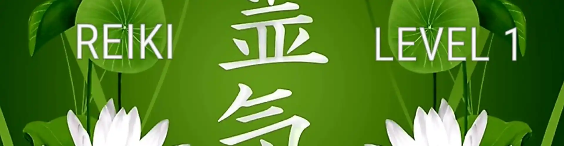 靈氣1級 - Online Class by Cassaundra Paolini
