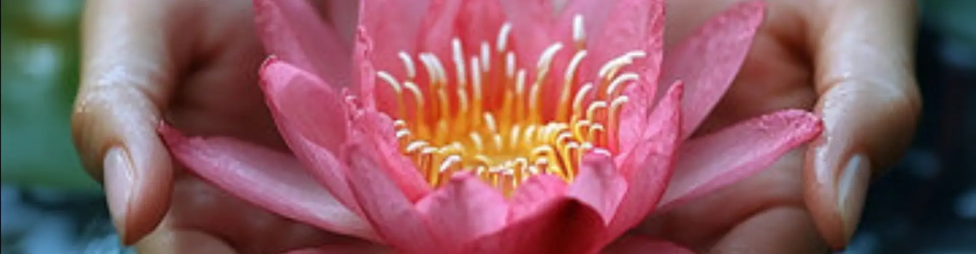 Reiki Nivel 2 Okuden - Online Class by Cassaundra Paolini