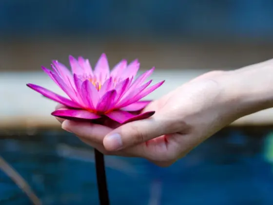 Reiki Level 1 Shoden