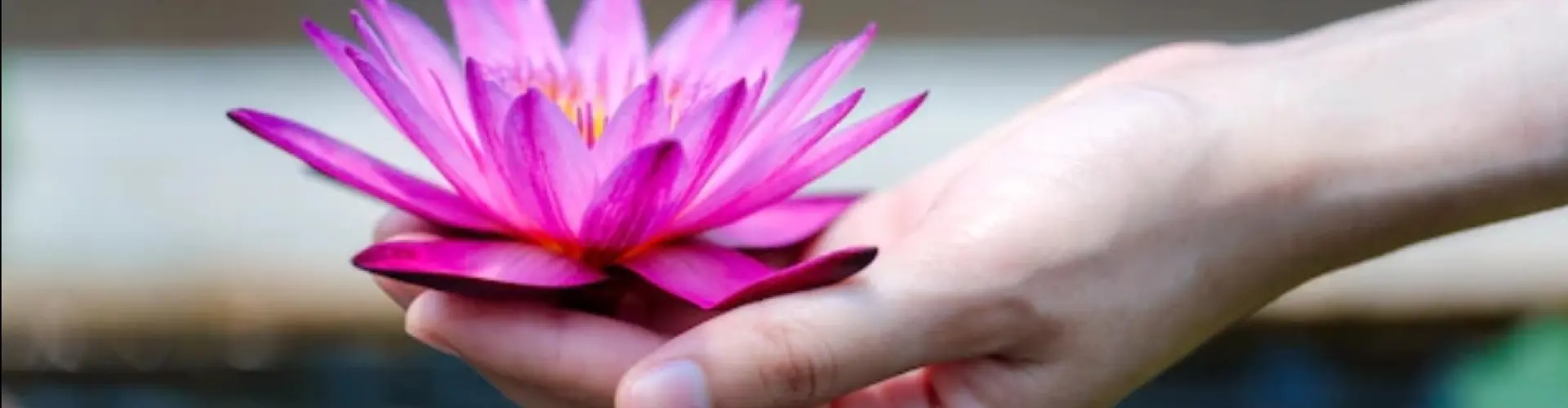 Reiki Nivel 1 Shoden - Online Class by Cassaundra Paolini